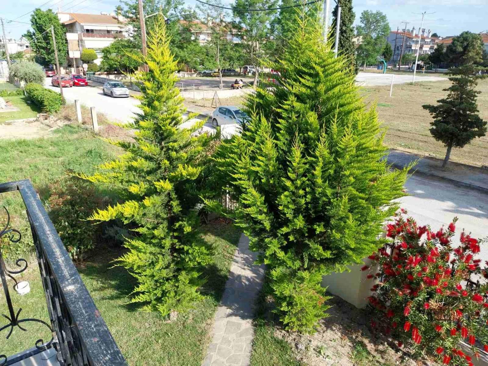 Erofilio Apartment Keramoti  Ngoại thất bức ảnh